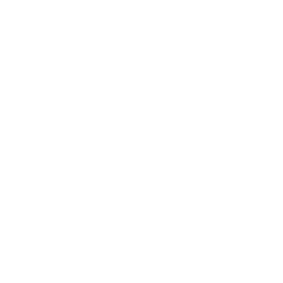 Smoked tofu icon