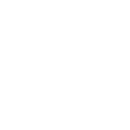 Cubed bacon icon