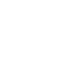 Rosette de lyon sausage icon