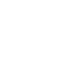 Cream of asparagus soup icon