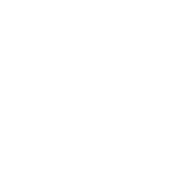 White onion icon