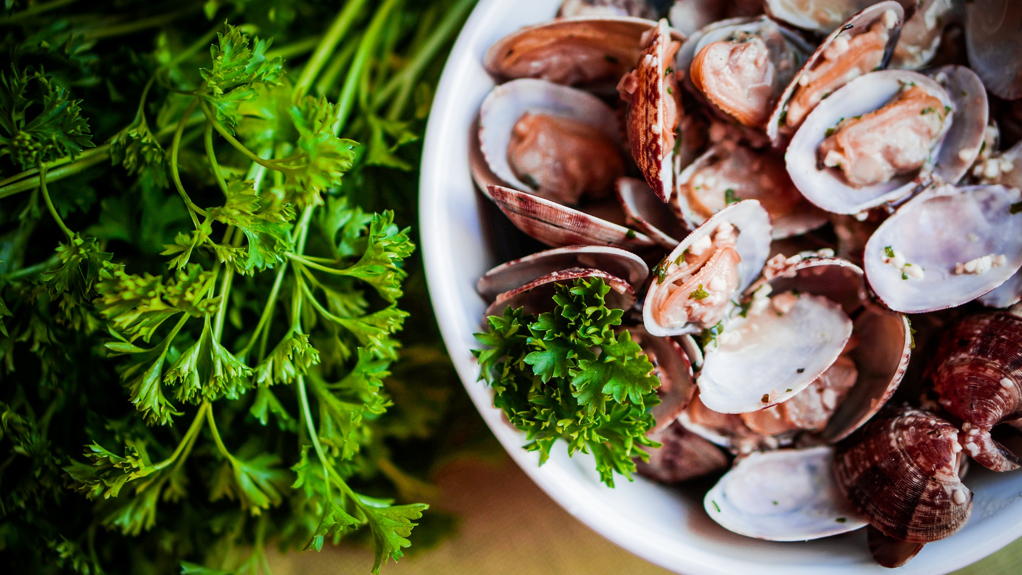 Instant Pot Steamed Clams Recipe Fresco