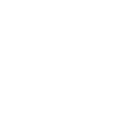 Paella mix icon