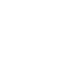 Elbow macaroni  icon