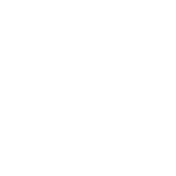 Icône de Tomate