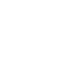 Whole duck icon