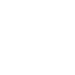 Cooked chicken icon