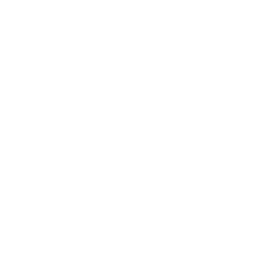 Beef stock cube icon