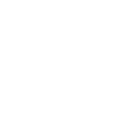 Katsuobushi icon