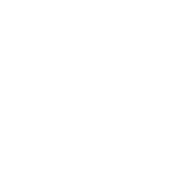 Guava icon