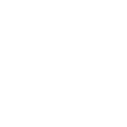 Clove essential oil icon