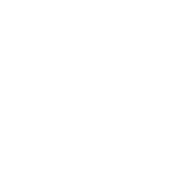 Mint candy cane icon