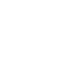 Chang's fried noodles icon