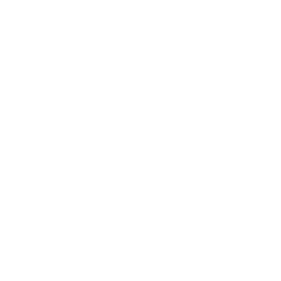 Cheese croutons icon