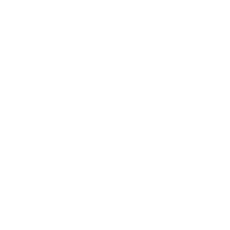 Ramen egg icon