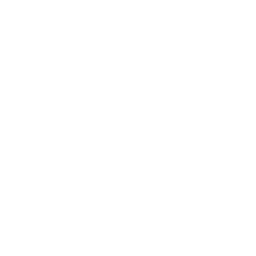 Pheasant icon
