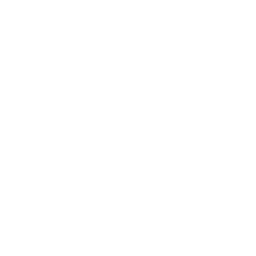 Aleppo pepper flakes icon