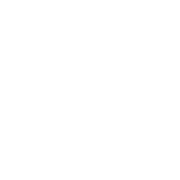 Mozzarella ball icon