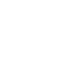 Canned haricot beans icon