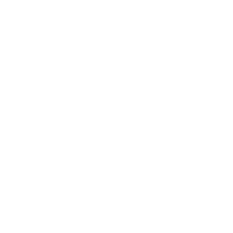 Octopus icon