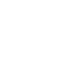 Black garlic paste icon