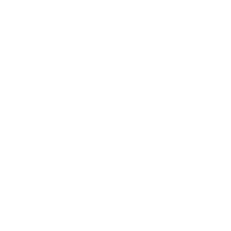 Vegan fish sauce icon