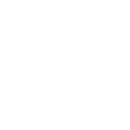 Scallop shells icon