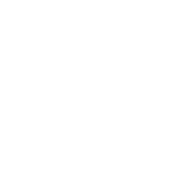 Brown crab meat icon