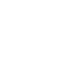 Sour cherries in syrup icon