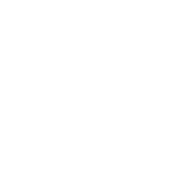 Invert sugar icon