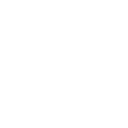 Pineapple slices in juice icon