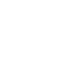 Brewed black tea icon