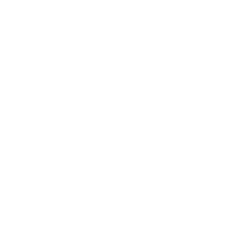 Acai powder icon