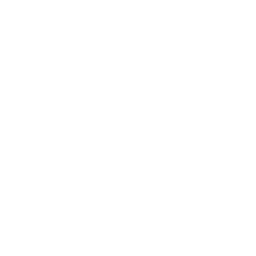 Lingonberry jam icon